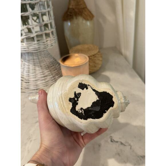 White Irredecent Ceramic Coastal Decor Hallow Seashell Decorative Planter Pot - Picture 8 of 10